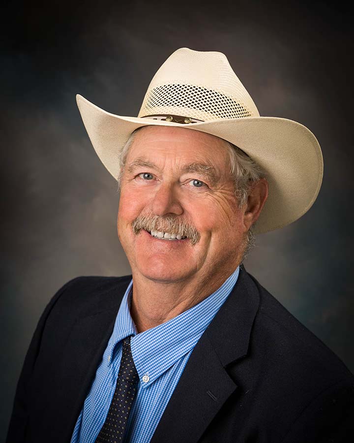Bob Evans Board Member