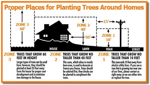 treeplantingchart_1