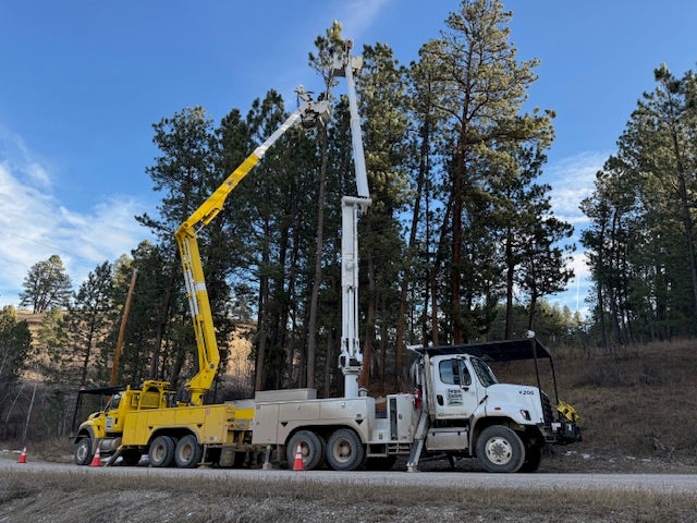 Tree Trimming